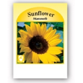Promotional Custom Seed Packet- Sunflower
